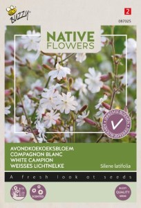 semená silenky, silenka, v noci kvitnúca rastlina, semená silene,